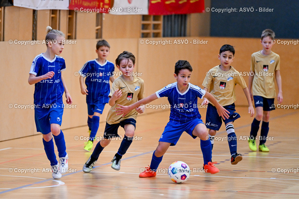 ASVÖ_ Fussballturnier SV Gallneukirchen_ 09.02.2025-47 | 09.02.2025, Gallneukirchen, AUT, ASVÖ, Fussball Nachwuchs Hallenturnier 2025, SV Gallneukirchen im Bild Teilnehmer U 9©Harald Dostal / fodo.media - Realisiert mit Pictrs.com
