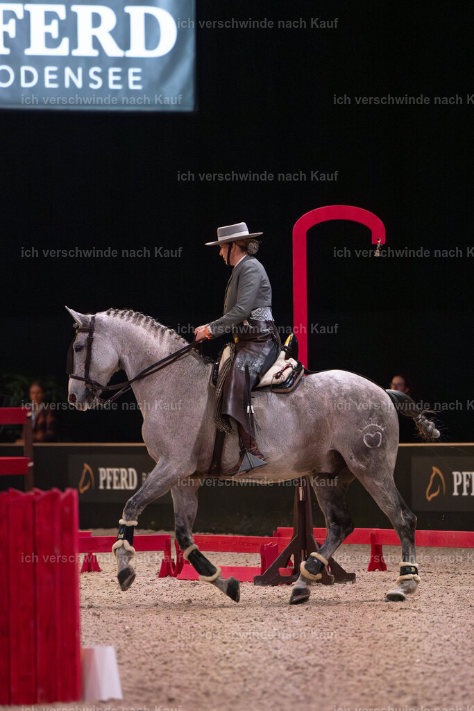 JoseraCup-29 | working equitationturnier fotograf videograf stoibphotography marixx film working equitation deutschland reitsport turnierfotografie eventfotografie equestrian events