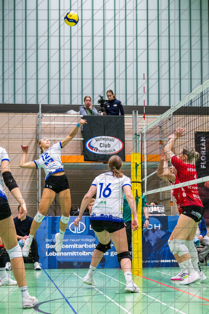 2. VBLF Nord 25/26 | Spiel 4017 | VC Osnabrück vs. Potsdam II | LORENZ Lotta (VC Osnabrück e.V. #12) //  25.10.25: 2. VBLF Nord 25/26 | Spiel 4017 | VC Osnabrück vs. Potsdam II / Osnabrück / Deutschland  //   CREDIT:www.bullenfotos.de, Martin König, Hörner Weg 40, D-49078 Osnabrück, +4917663732967 // Nutzung und Weitergabe nur zu den vereinbarten Zwecken. Presseanfragen an Ersteller. Alle Rechte beim Ersteller. Honorierung nach MFM. - Realisiert mit Pictrs.com