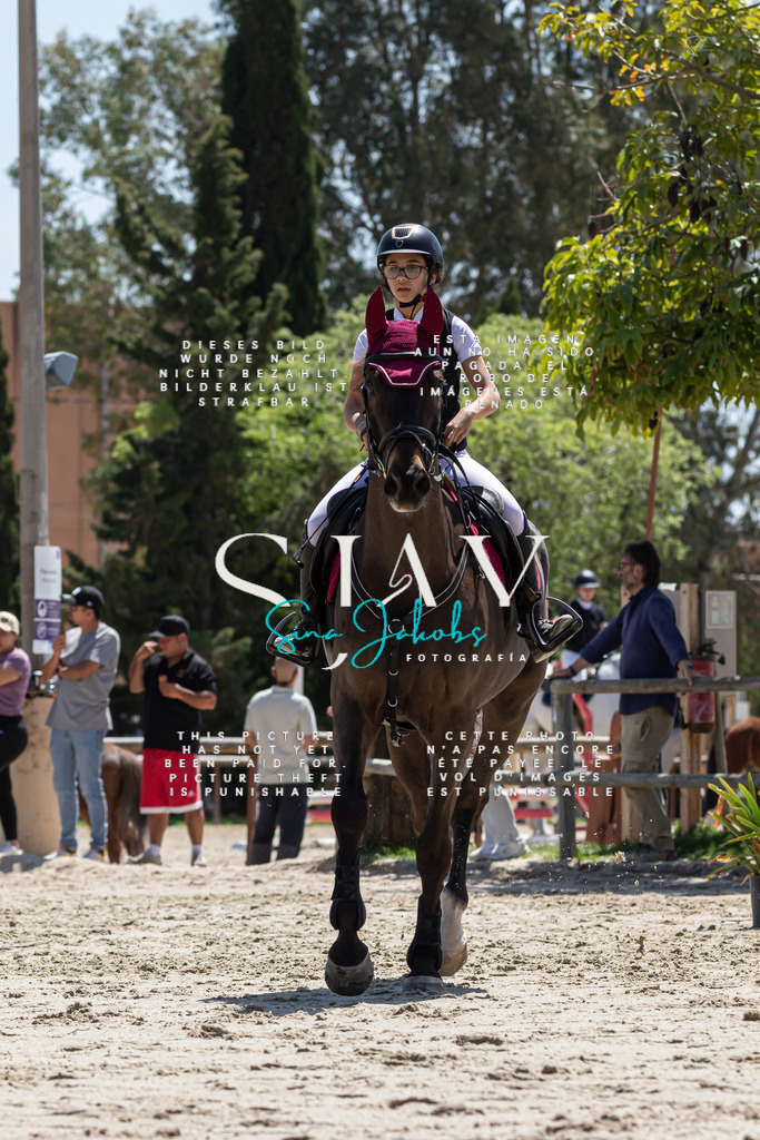 IMG_0196 | s-jay-photography - Realisiert mit Pictrs.com