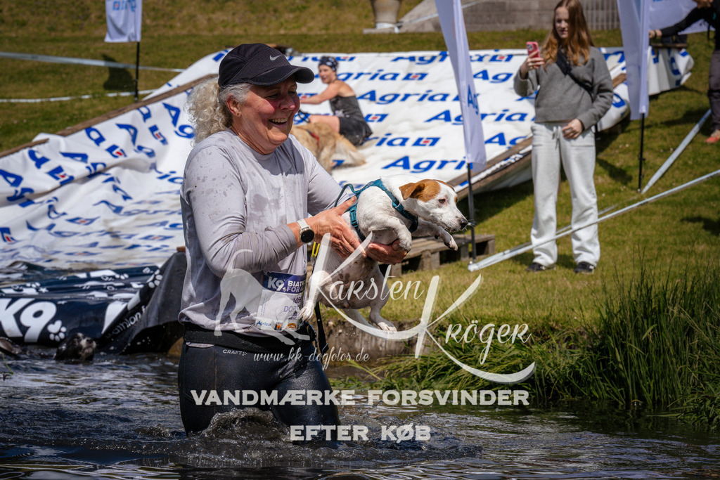 _ZZ951331006 | kk-dogfotos