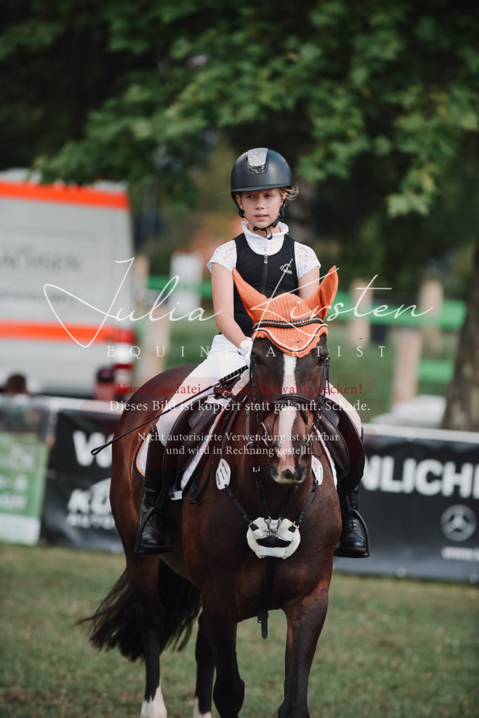 DSC_5666 | Pferde- und Turnierfotografie in Westsachsen. Pferdeportraits, Auftragszeichnungen und intuitive Kunst.