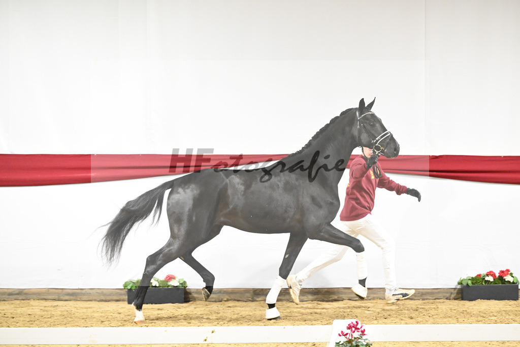 Kat-Nr. 58 v. Donier_Heilemann_63221760 | hf-fotografie - Realizzato con Pictrs.com