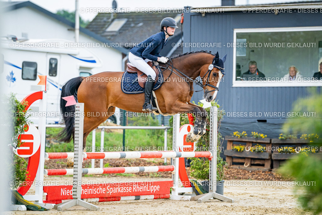 DSC02089 | Pferdegrafie