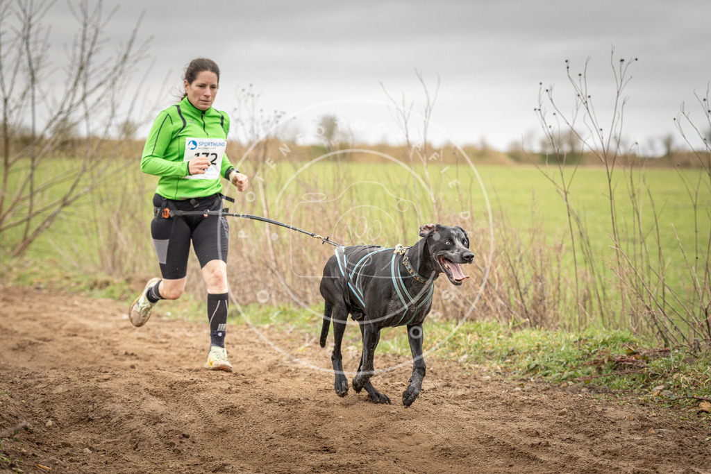 DV3A1977 | Hundefotografie, Tierfotograf, Pfotenfotografie, Fotoshooting Hund, Hunde Portrait, Hundesport, Hundeportraits, Heideshooting, Hunde, Sportfotograf, Hundefotograf, Turnierhundsport, THS,  - Realisiert mit Pictrs.com