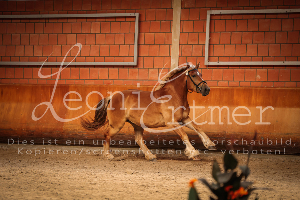 SaFL00173 | Leoni Ertmer Photography - Realisiert mit Pictrs.com