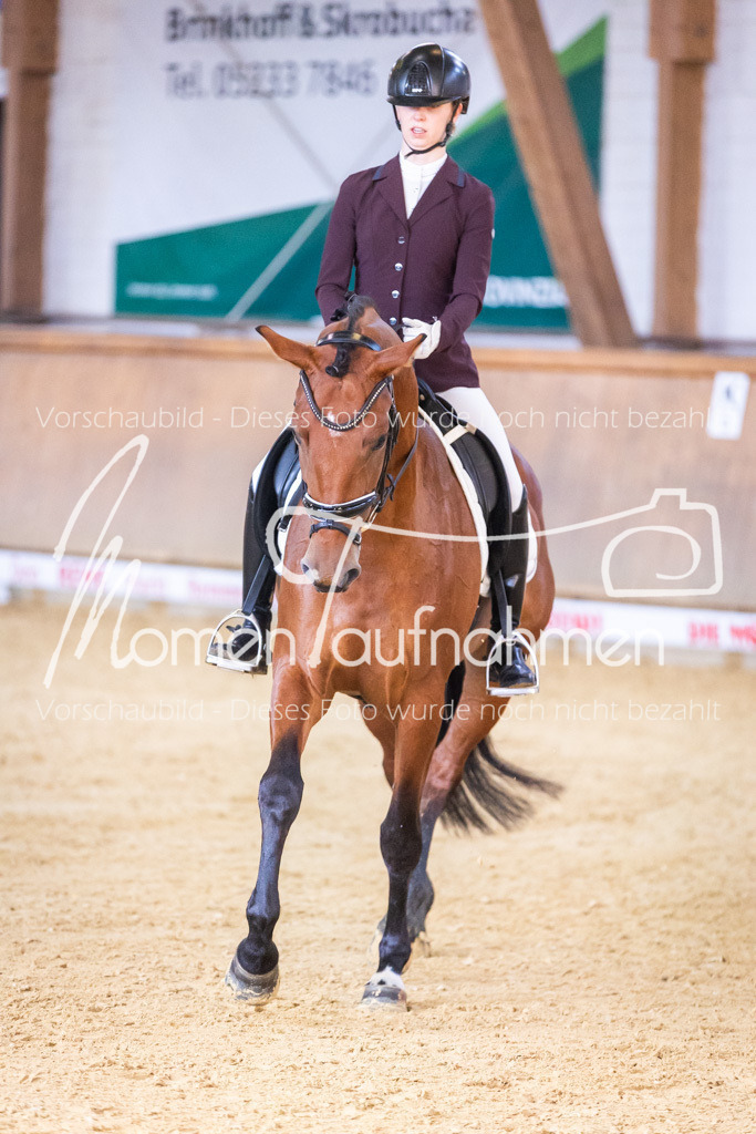 Sth-A-Dre-1St-144 | MomenTaufnahmen Pferdesportfotos