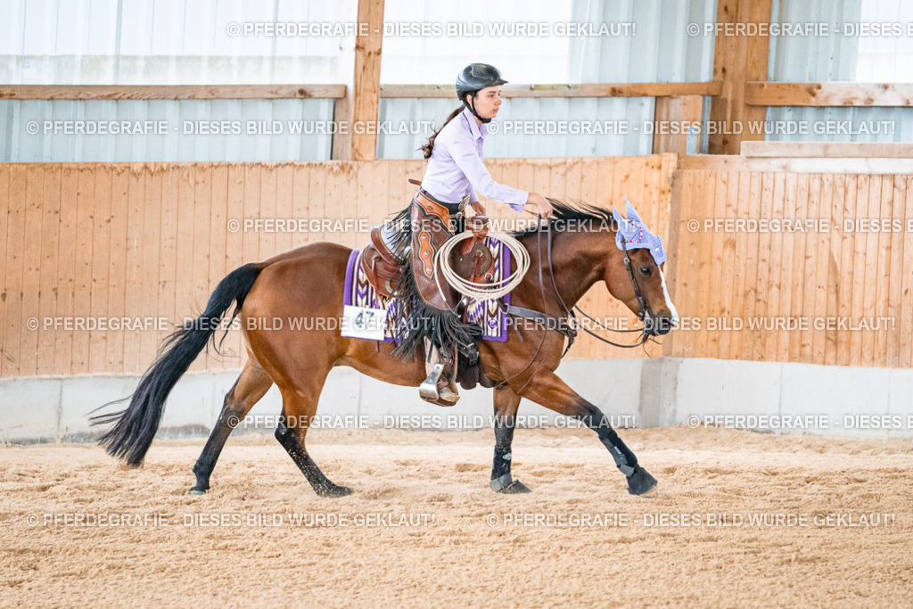 DSC09325 | Pferdegrafie