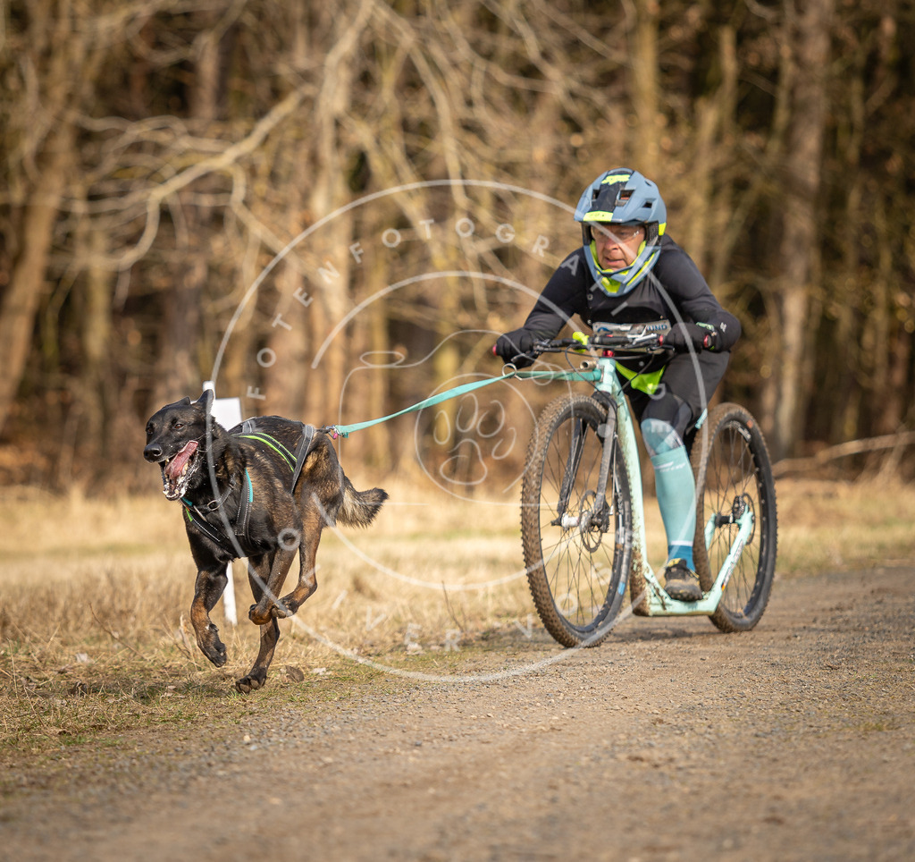 DV3A4716 | Hundefotografie, Tierfotograf, Pfotenfotografie, Fotoshooting Hund, Hunde Portrait, Hundesport, Hundeportraits, Heideshooting, Hunde, Sportfotograf, Hundefotograf, Turnierhundsport, THS,  - Realisiert mit Pictrs.com