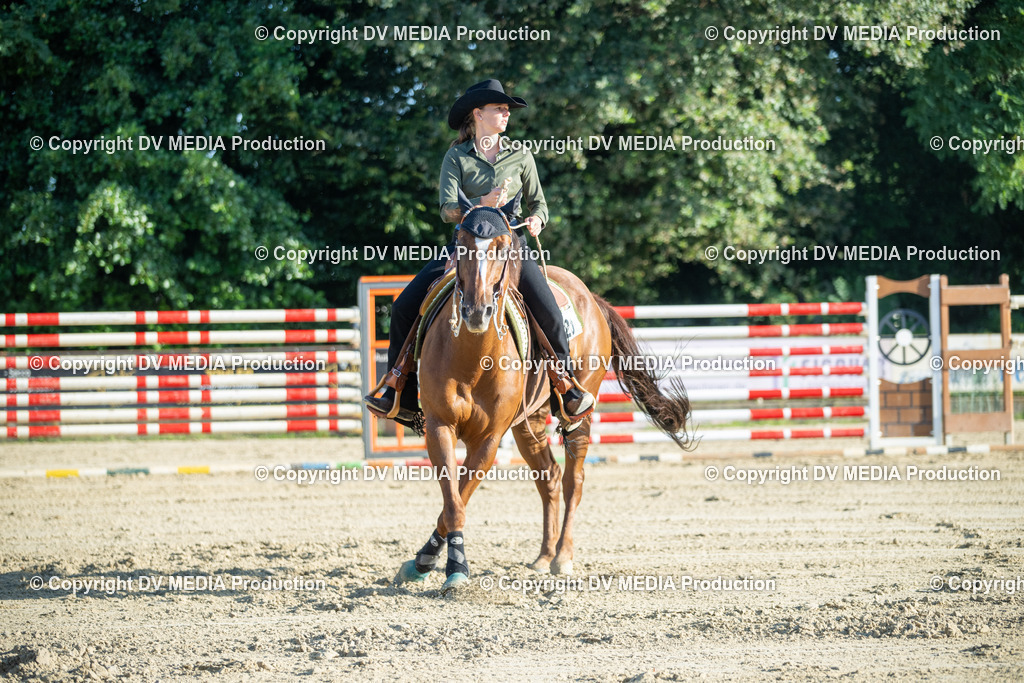 ZS1_0612 | dv-media-shop - Realisiert mit Pictrs.com