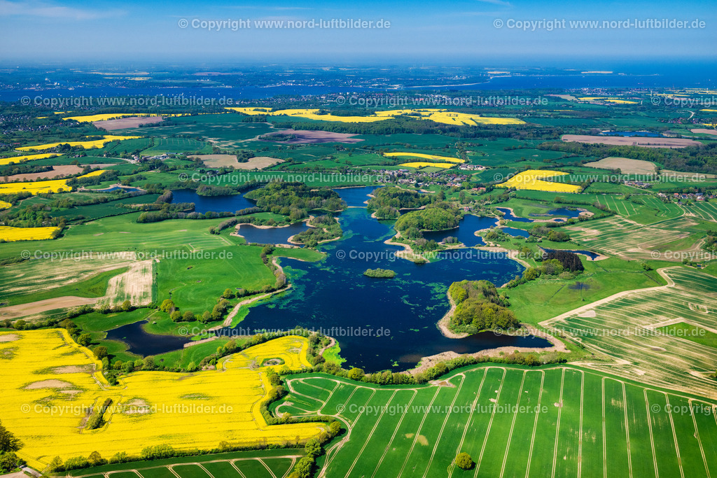 Muxall_Kasseteich_ELS_5942010524 | PROBSTEIERHAGEN 01.05.2024 Uferbereiche am Seegebiet des " Kasseteich " in Probsteierhagen im Bundesland Schleswig-Holstein, Deutschland. // Riparian areas on the lake area of " Kasseteich " in Probsteierhagen in the state Schleswig-Holstein, Germany. Foto: Martin Elsen