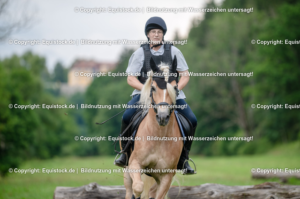 20250725_Vielseitigkeitslehrgang-Marbach_0570 | Foto: Thomas Hartig