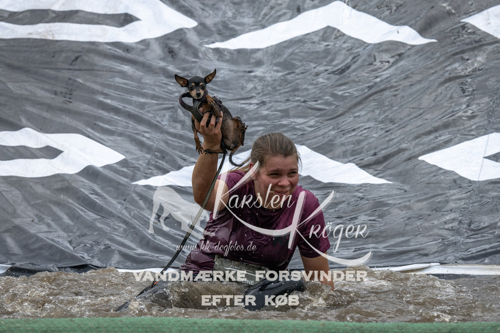 1533_ZZ94208 | kk-dogfotos