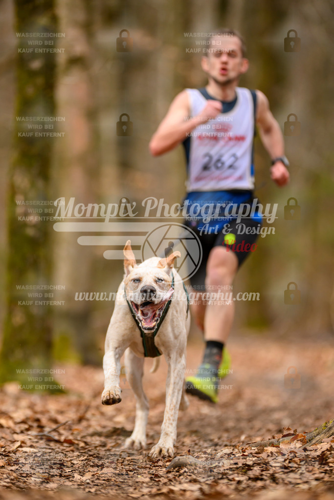 MompixPhotography_Habay2025_SA_CCC-6 | PayLife