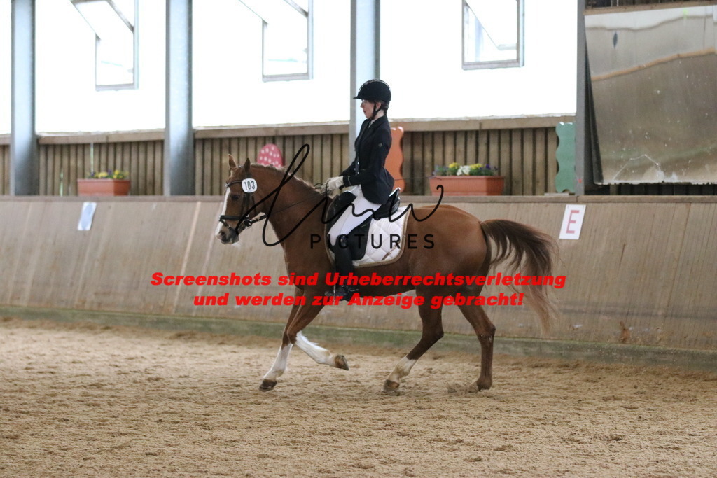 IMG_6945 | lmwpictures - Realisiert mit Pictrs.com