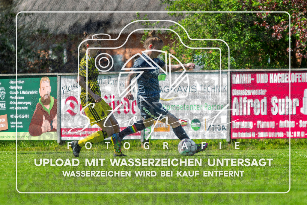 Kreisliga Damen HKCE - SG Fulde vs. Sportfreunde Bispingen | Lucie Hankemeyer (Sportfreunde Bispingen #13); Kreisliga Damen HKCE - SG Fulde vs. Sportfreunde Bispingen am 26.04.2026 in Zentralstadion, Fulde - Realisiert mit Pictrs.com
