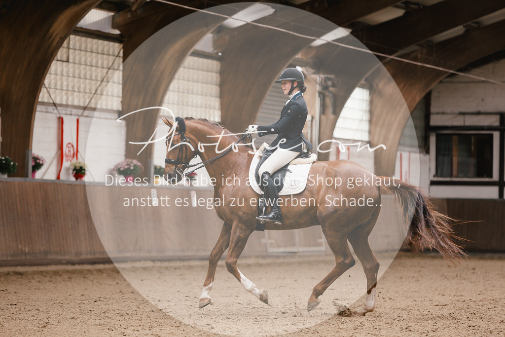 3I6A9083 | Stimmungsvolle Portraits und Reitsportfotografie im Ruhrgebiet und im Münsterland.

Pferdefotografie, Hundefotografie, Tierfotografie, Reportagen, Portraits von Tier und Mensch, Turnierfotografie in Bochum, Recklinghausen, Marl, Haltern am See, Dülmen.. - Realisiert mit Pictrs.com