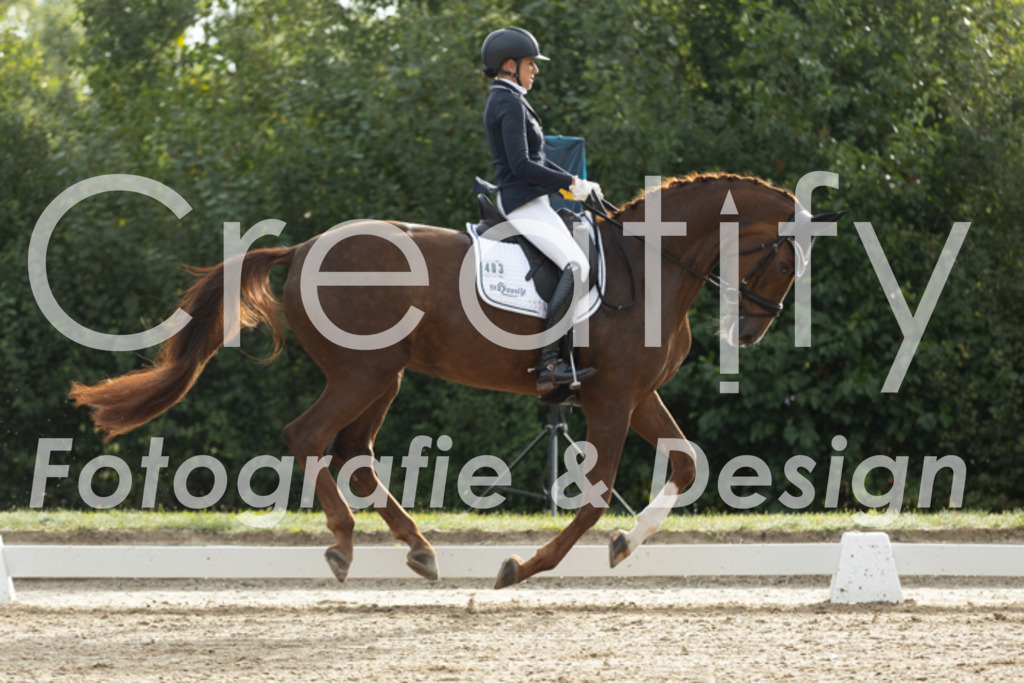 IMG_4173 | Creatify Fotografie