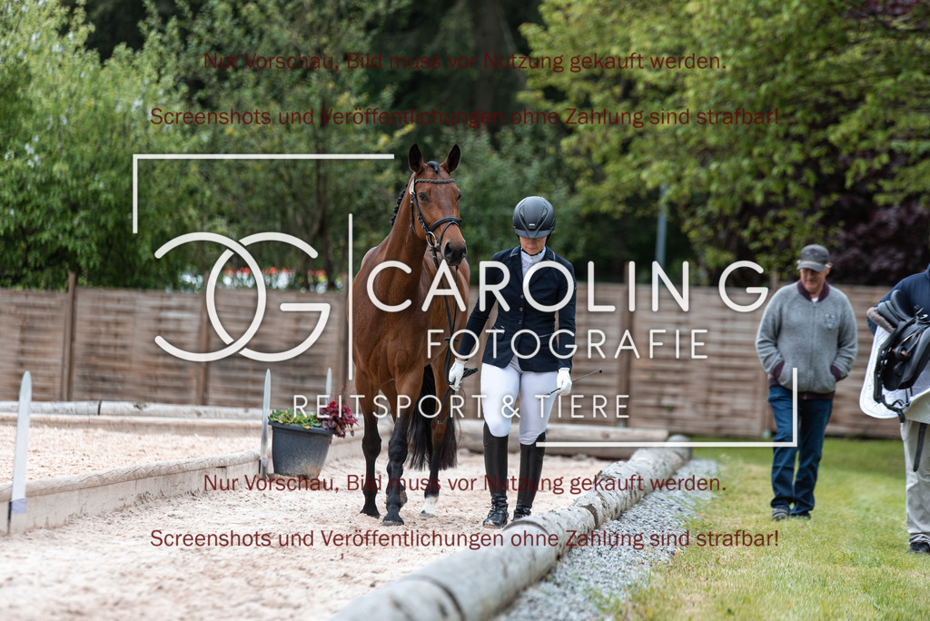 DSC_7086 | Turnierfotografin Carolin Gieschke,Reitsport Turnierfotografie Carolin G Fotografie | Turnierfotos aus Kirchheim/Teck, Esslingen, Stuttgart und dem Bodenseekreis