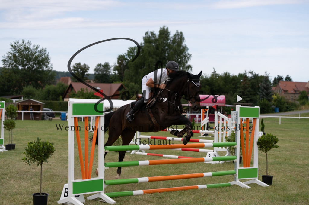 A7V01340 | Pferdefotograf