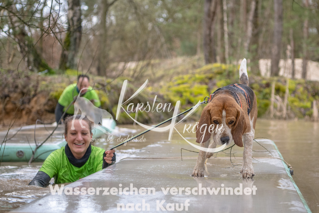 0954_ZZ91707-Bearbeitet | kk-dogfotos