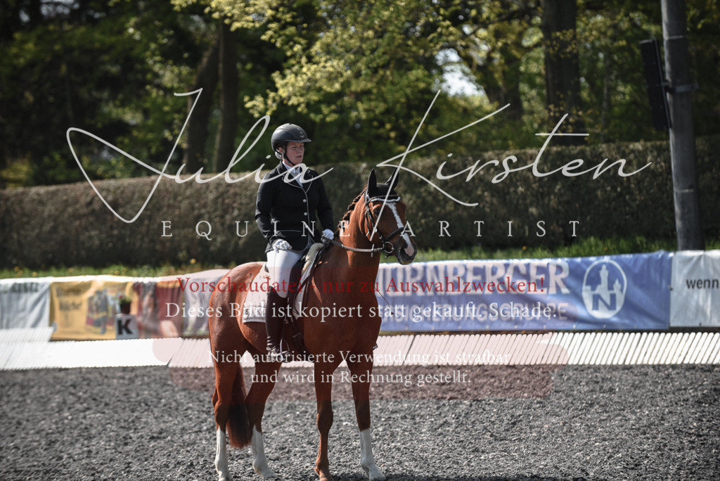 20230513_JK-Röhrsdorf-14-220 | Pferde- und Turnierfotografie in Westsachsen. Pferdeportraits, Auftragszeichnungen und intuitive Kunst.