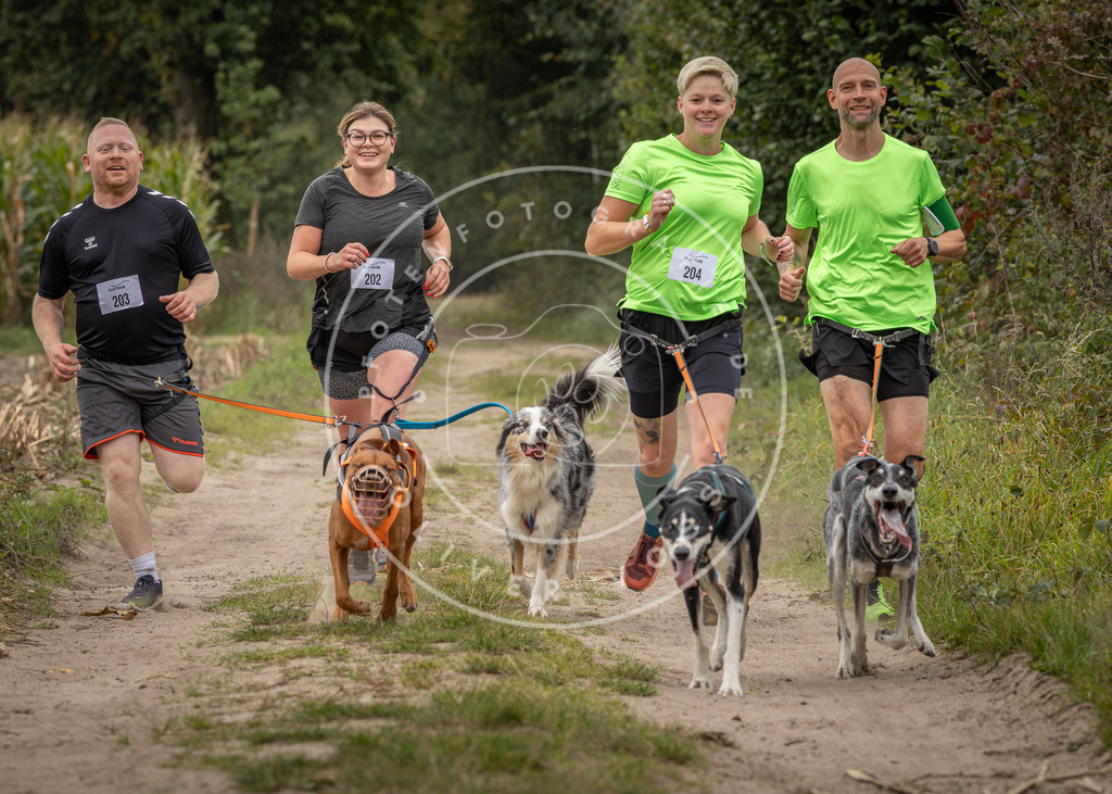 Pfotenfotografie_DV3A7447 | Hundefotografie, Tierfotograf, Pfotenfotografie, Fotoshooting Hund, Hunde Portrait, Hundesport, Hundeportraits, Heideshooting, Hunde, Sportfotograf, Hundefotograf, Turnierhundsport, THS,  - Realisiert mit Pictrs.com