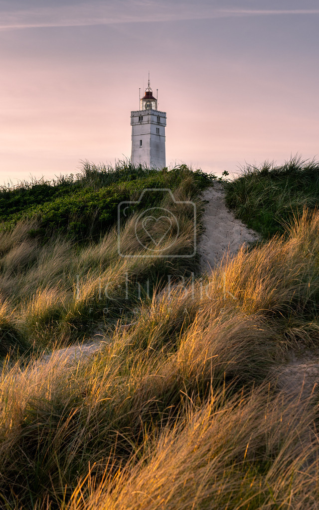 unbenannt-288-4 | <licht-blick-fotografie><shooting><portraitshooting><tiershooting><landschaftsbilder><shootingbuchen><buchen><fotografbremen> <fotograf niedersachsen><fotografin Bremen und niedersachsen><carshooting><automobilfotografie><auto> - Realisiert mit Pictrs.com
