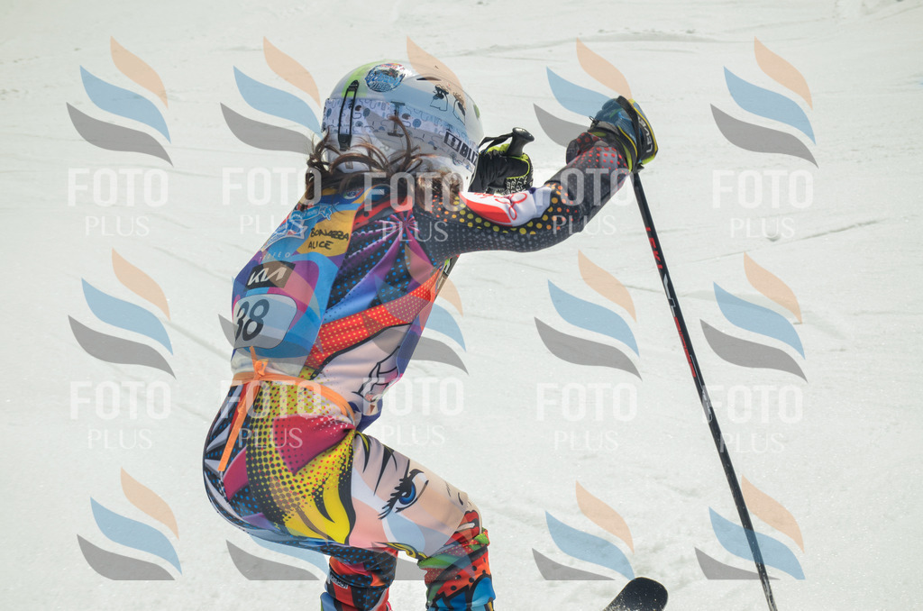 _ELE4990 | holidayphoto