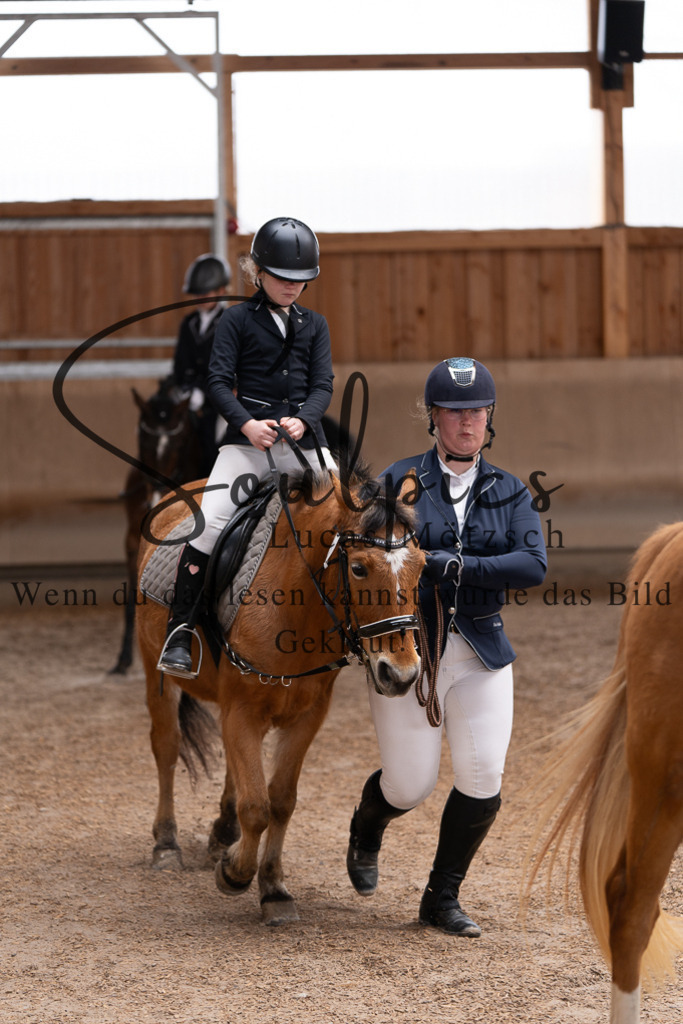 A7507276 | Pferdefotograf