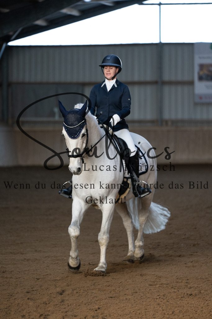 A7V05704 | Pferdefotograf