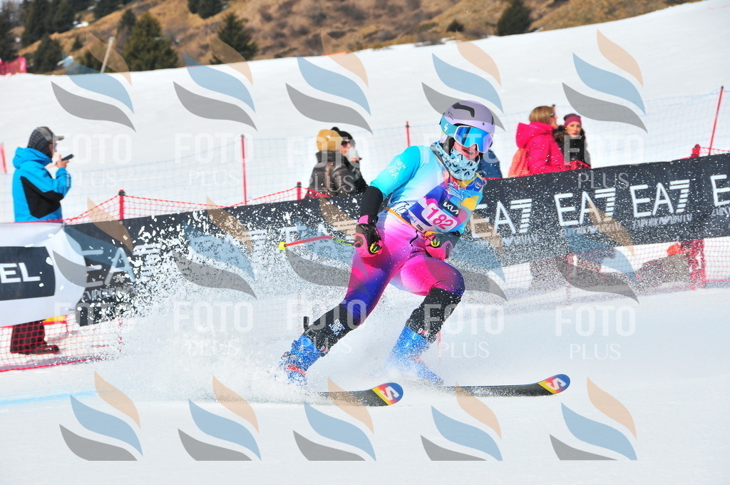 DSC_5377 | holidayphoto