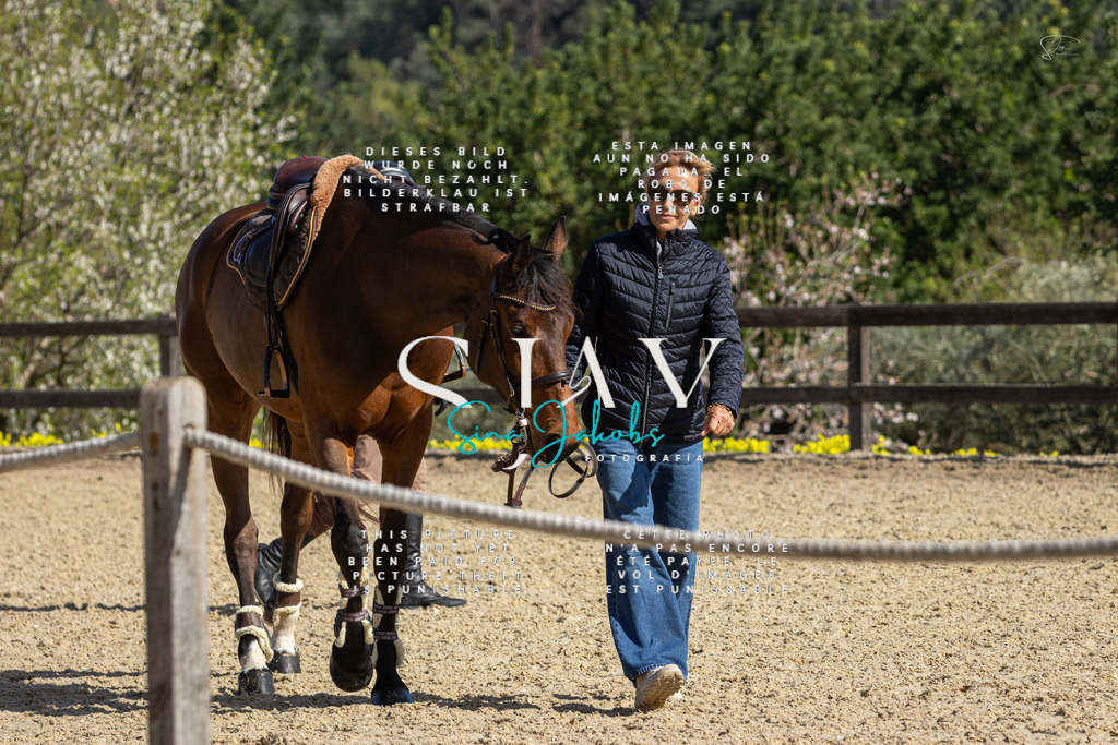 IMG_6611 | s-jay-photography - Realisiert mit Pictrs.com