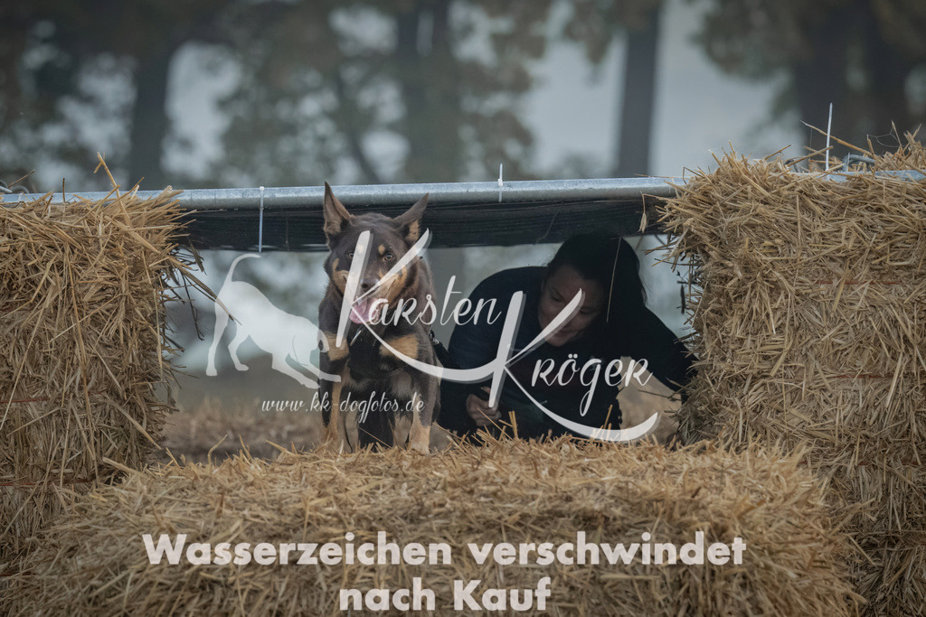 0816_ZZ97591 | kk-dogfotos