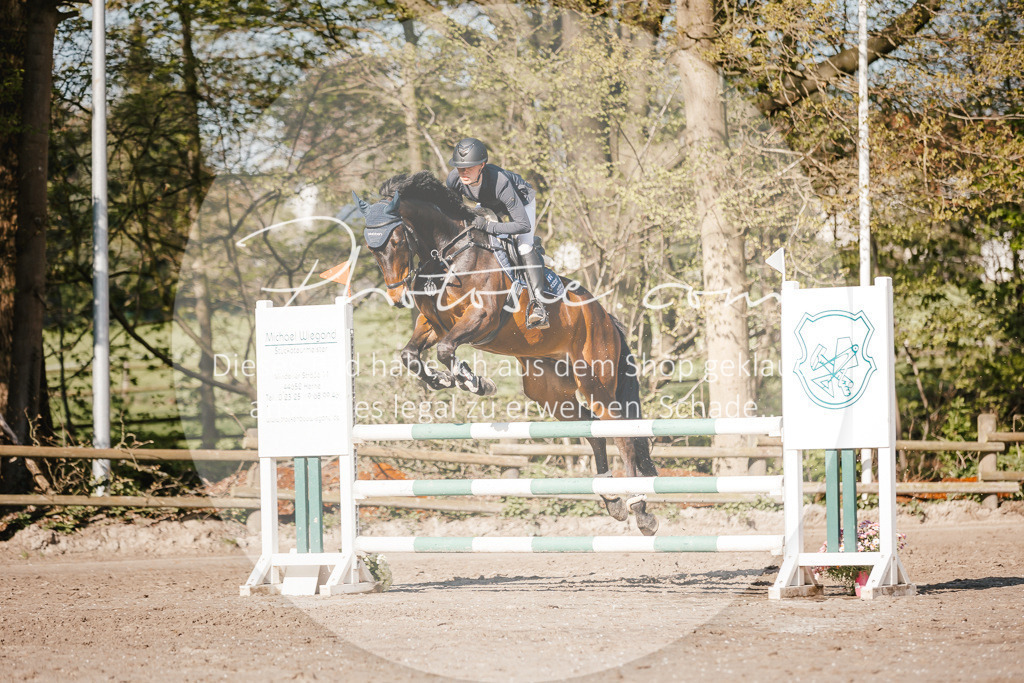 3I6A3655 | Stimmungsvolle Portraits und Reitsportfotografie im Ruhrgebiet und im Münsterland.

Pferdefotografie, Hundefotografie, Tierfotografie, Reportagen, Portraits von Tier und Mensch, Turnierfotografie in Bochum, Recklinghausen, Marl, Haltern am See, Dülmen.. - Realisiert mit Pictrs.com