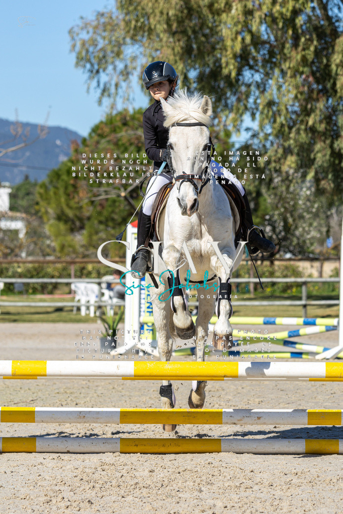 IMG_8673 | s-jay-photography - Realisiert mit Pictrs.com