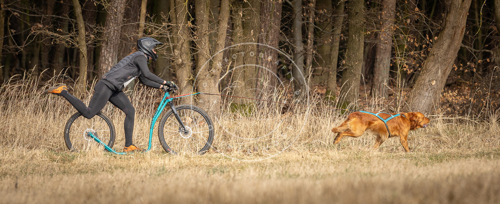 DV3A4829 | Hundefotografie, Tierfotograf, Pfotenfotografie, Fotoshooting Hund, Hunde Portrait, Hundesport, Hundeportraits, Heideshooting, Hunde, Sportfotograf, Hundefotograf, Turnierhundsport, THS,  - Realisiert mit Pictrs.com