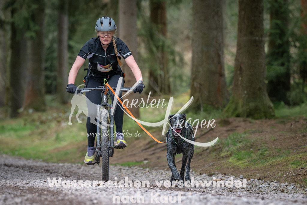 0945_ZZ91901 | kk-dogfotos
