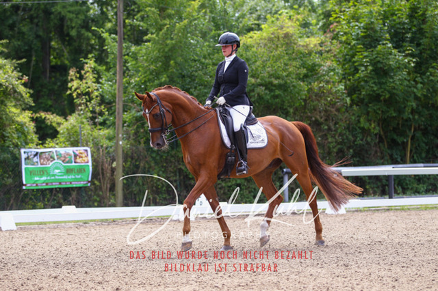 DKP40871 | Turniersportfotografie; Pferdefotografie; Dressurfotografie