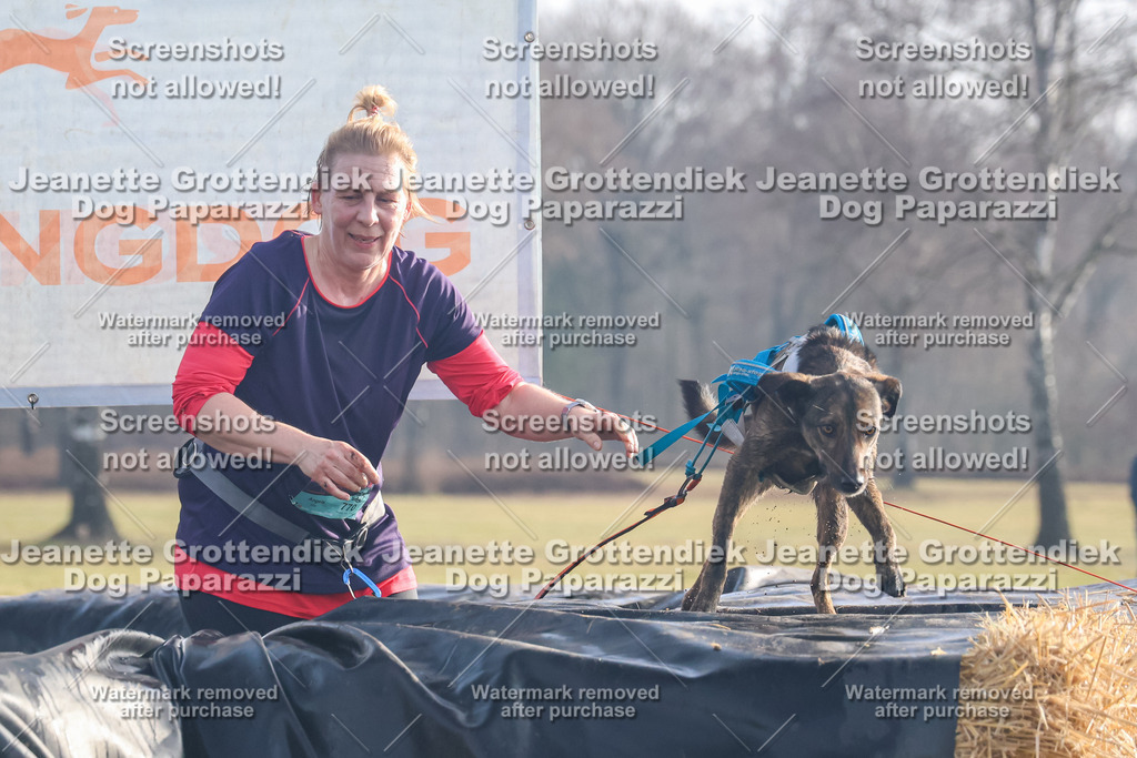 Dog Paparazzi - Strongdog North Mrz26-60 | Dog Paparazzi Jeanette Grottendiek Fotografie & Videografie - Realisiert mit Pictrs.com