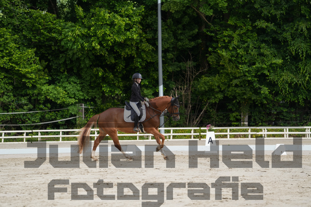 DSC03119 | Julian Held Fotografie - Realisiert mit Pictrs.com