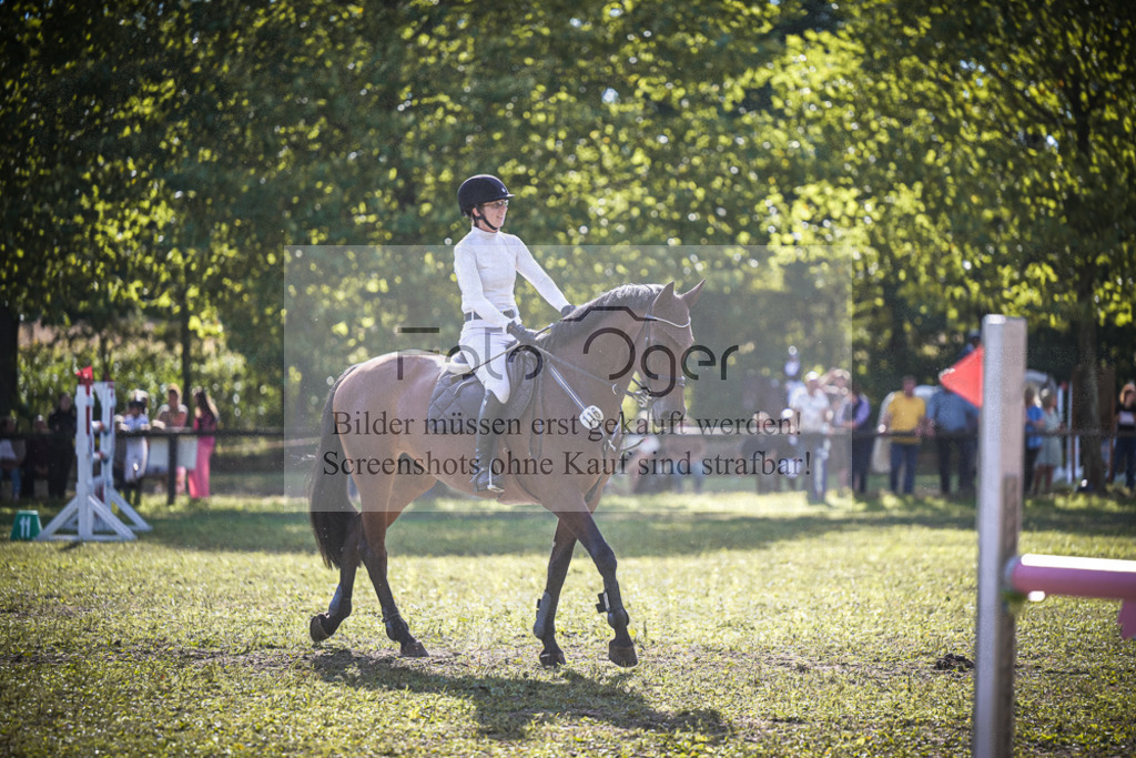 DOS_0271 | Entdecke hochwertige Reitturnierfotos von Foto Oger. Professionell, emotional und authentisch – jetzt Lieblingsmomente im Shop bestellen.Deutschlandweite Turnierfotografie. - Realized with Pictrs.com