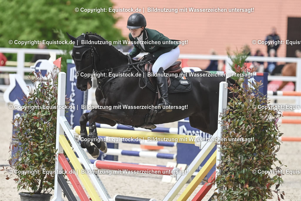 20230514_CCI4_Springen_0202 | equistock