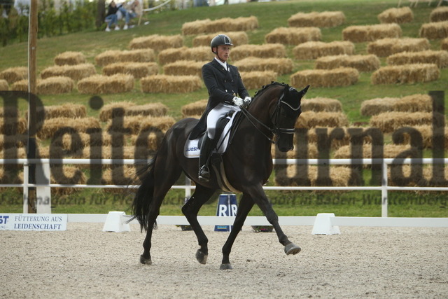 Birkhof_2022_Dressurprüfung_Kl.S_iWest_Marcel Wolf_Fabiano A (9) | Alle Fotos der Reiterjournal Fotografin Doris Matthaes im Reiterjournal Online-Fotoshop. - Realisiert mit Pictrs.com