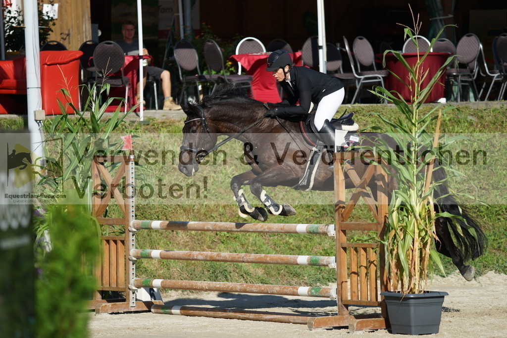DSC02240 | equestrian-live-com
