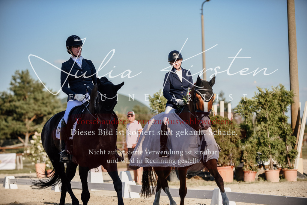 DSC_0765 | Pferde- und Turnierfotografie in Westsachsen. Pferdeportraits, Auftragszeichnungen und intuitive Kunst.
