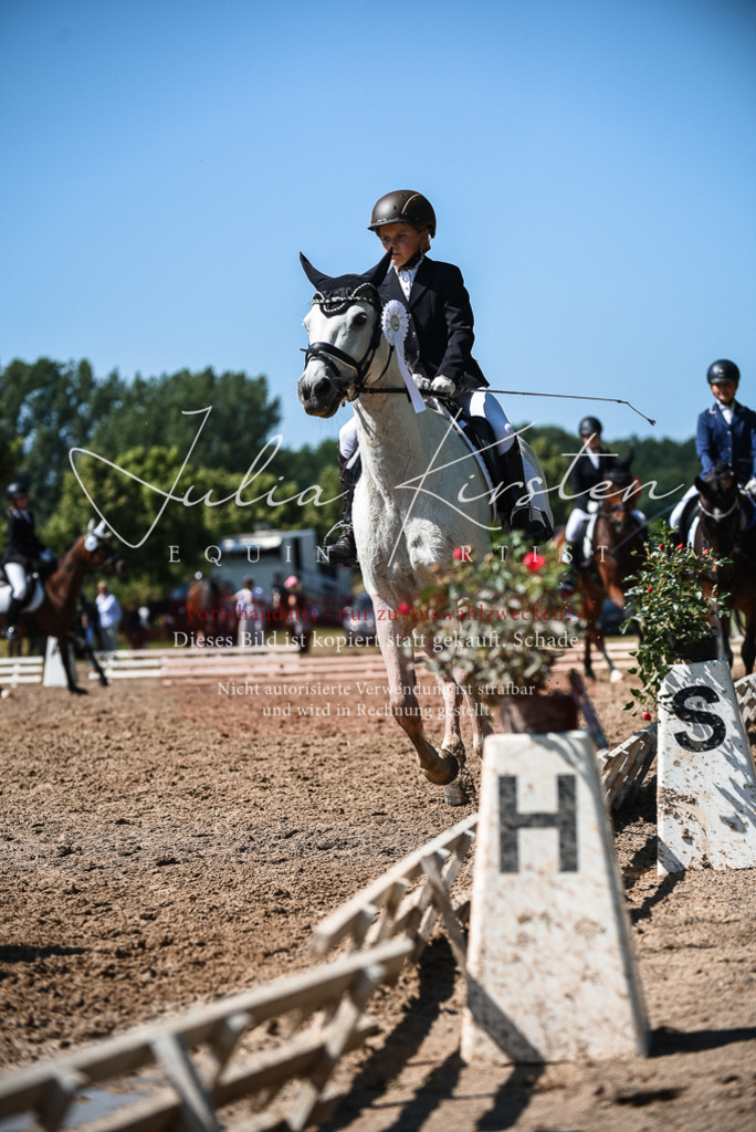 DSC_3701 | Pferde- und Turnierfotografie in Westsachsen. Pferdeportraits, Auftragszeichnungen und intuitive Kunst.