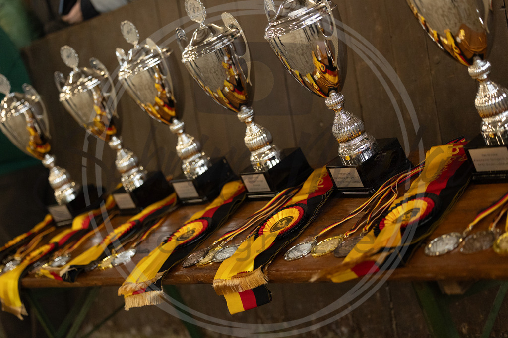 994A2551 | sabrinanicolaifotografie - Realisiert mit Pictrs.com