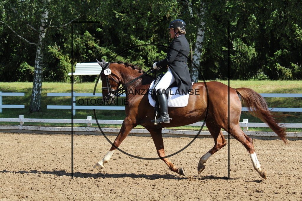 IMG_6546 | franziskalange - Realisiert mit Pictrs.com