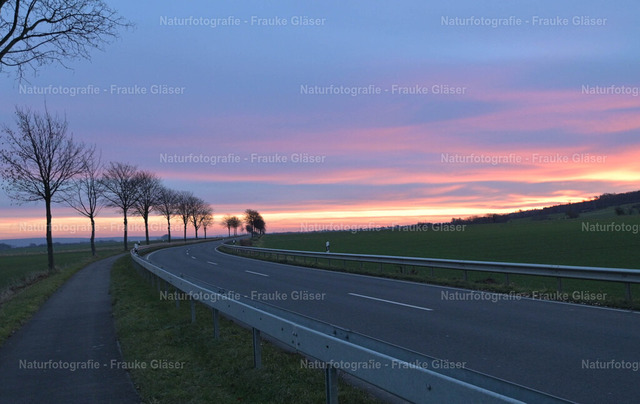 F.Gläser_39_Bornum_06. Dezember 2025 | Naturfotografie Frauke Gläser - Realisiert mit Pictrs.com